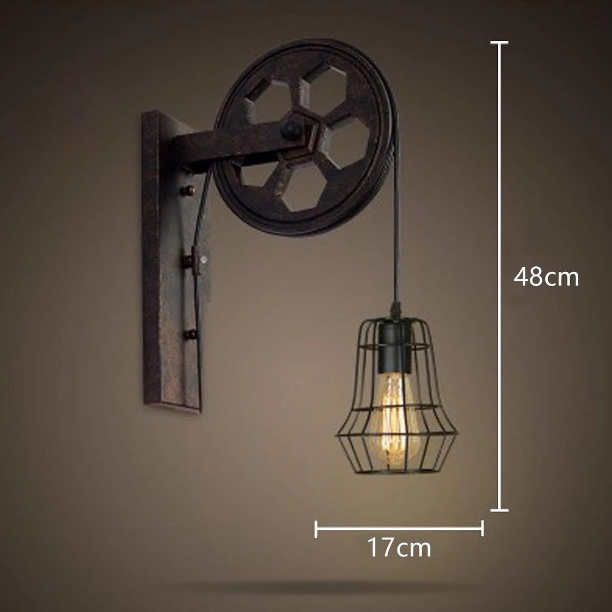 Bymaocar Industrial Wall Sconce Lights With Iron Cage Lampshade