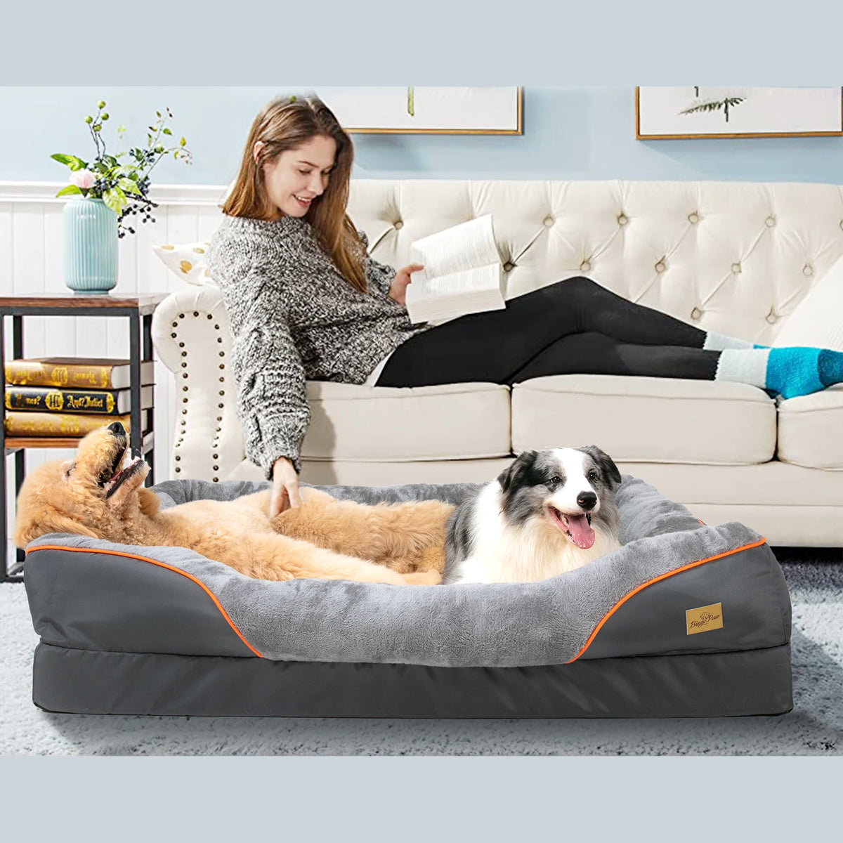 Bingopaw Anti Allergy Waterproof Dog Bed With Removable Fleece Cover