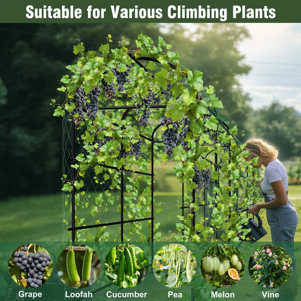 Wisfor U Shaped Metal Tall Garden Trellis for Climbing Plants