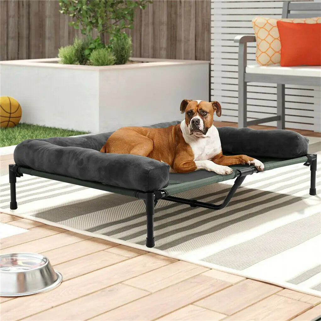 Bingopaw Elevated Pet Lounger Breathable Dog Bed Cooling Surface