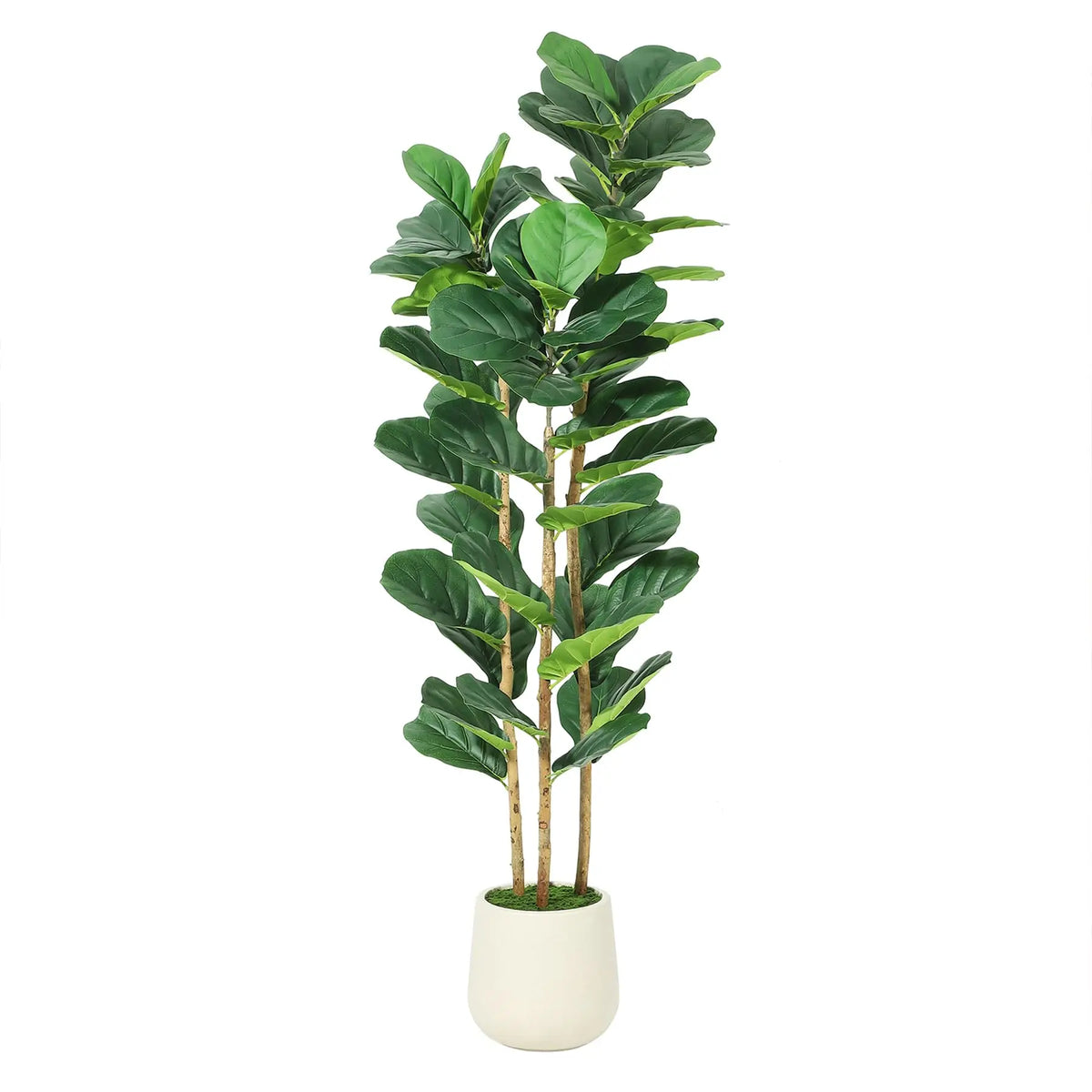 Artificial Fiddle Leaf Fig Tree With Potted Moss Home Decor