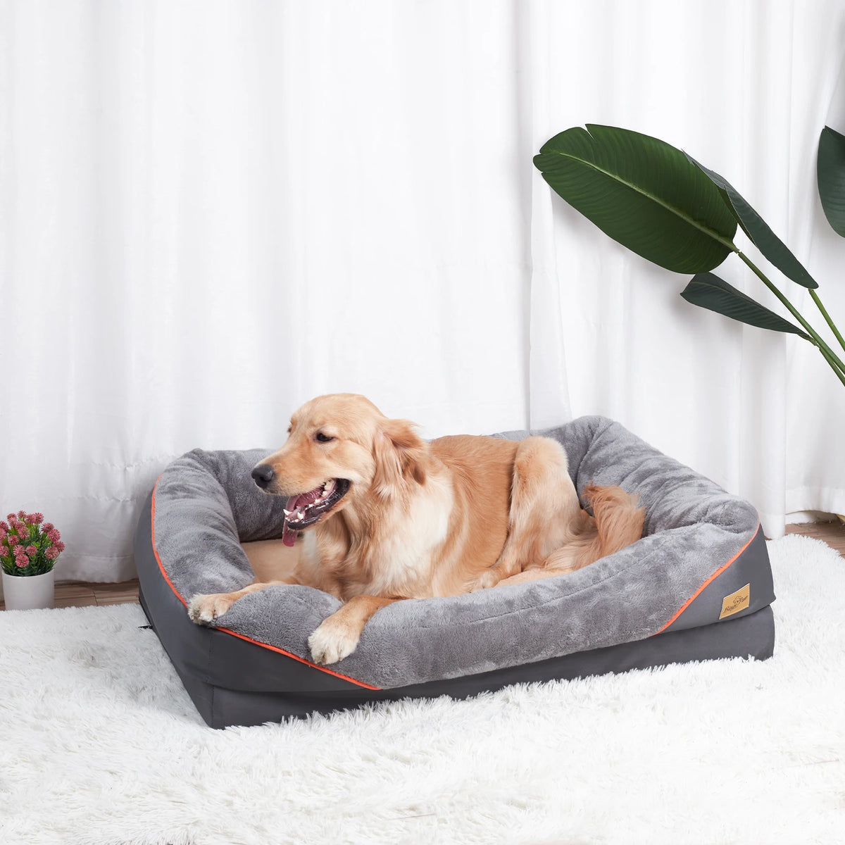 Bingopaw Anti Allergy Waterproof Dog Bed With Removable Fleece Cover