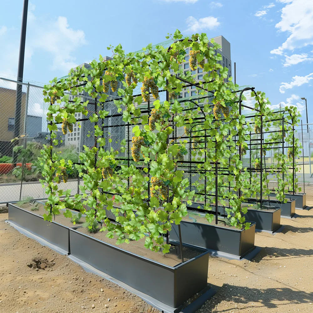 Wisfor U Shaped Metal Tall Garden Trellis for Climbing Plants
